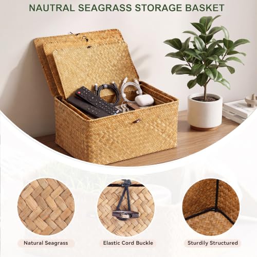 Nonam Large Wicker Basket with Lid,Seagrass Shelf Basket Set of 3,Nautral - color: Large Natural * Set of 3