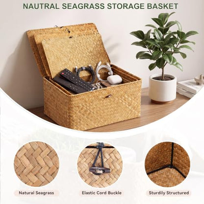 Nonam Large Wicker Basket with Lid,Seagrass Shelf Basket Set of 3,Nautral - color: Large Natural * Set of 3