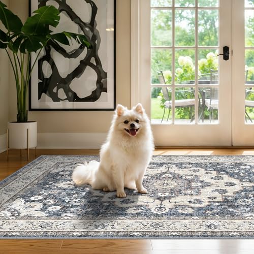 Washable 3x4 Entryway Area Rug: Non-Slip Stain Resistant Floor Mat Light Weight Thin Runner Rug for Hallway Kitchen Bedside Soft Low-Pile Indoor Entrance Carpet for Family with Cats & Dogs (3x4,Blue) - color: Blue, size: 3' x 4' (Rectangular)