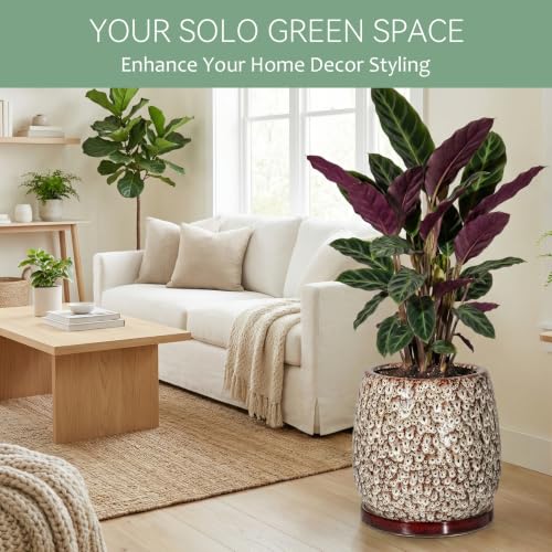 10.3 Inch Ceramic Glaze Plant Pot with Saucer, Flower Pots with Drainage Hole Mesh Net (Spot White) - color: Spot White