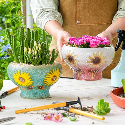 Sungmor Small Succulent Planters Set of 2, Beautiful Hand Crafted Ceramic Plant Pots Cute Cactus Pot, 6.5 Inch Flower Pots for Indoor Plants with Drainage, Desktop Windowsill Home Office Decor Pots - color: Style-b (Dia.: 6.9inch & H: 4.3inch)
