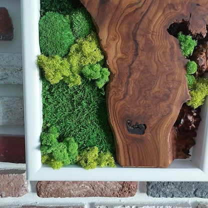 White Framed Moss Wall Art, Vertical Cedar Wood & Preserved Greenery Modern Natural Wall Decor for Living Room, Office & Home, Zero Maintenance Handcrafted Gift 16"x32" - size: 16"x32"