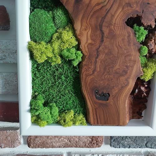 White Framed Moss Wall Art, Vertical Cedar Wood & Preserved Greenery Modern Natural Wall Decor for Living Room, Office & Home, Zero Maintenance Handcrafted Gift 60" x 24" - size: 60"L x 24"W