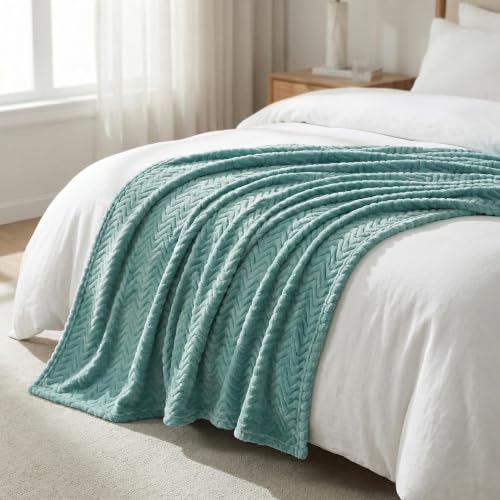 Exclusivo Mezcla Large Fleece Throw Blanket for Couch, Sofa, Celadon - color: Celadon, size: Throw ( 50x70 IN )