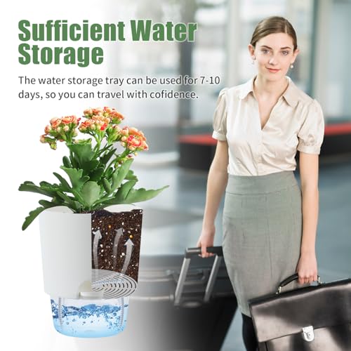 Oliz 6 Inch Self Watering Planter Pots for Indoor Plants, 3 Packs African Violet Pots with Wick Rope and Visible Reservoir Self Watering Planter for Herb, Houseplants