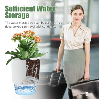 Oliz 6 Inch Self Watering Planter Pots for Indoor Plants, 3 Packs African Violet Pots with Wick Rope and Visible Reservoir Self Watering Planter for Herb, Houseplants