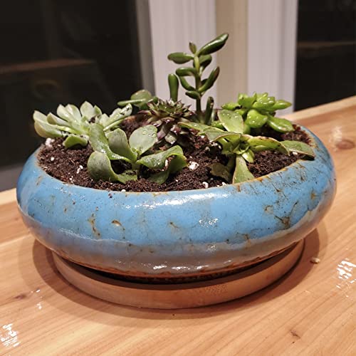 Succulent Pots, 7.3'' Ceramic Bonsai Pot with Tray, Large Succulent Planter - color: Blue