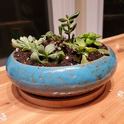 Succulent Pots, 7.3'' Ceramic Bonsai Pot with Tray, Large Succulent Planter - color: Blue