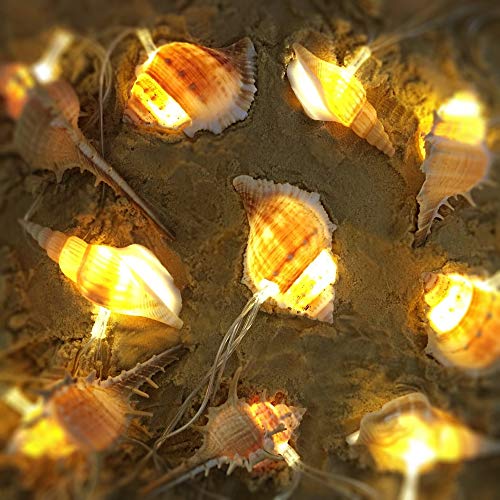 WSgift LED String Lights, Ocean Conch Beach Themed Battery Powered 9.18 ft 10 LEDs Lights for Indoor, Outdoor Decoration Projects (Warm White) - color: Warm white LED Conch lights