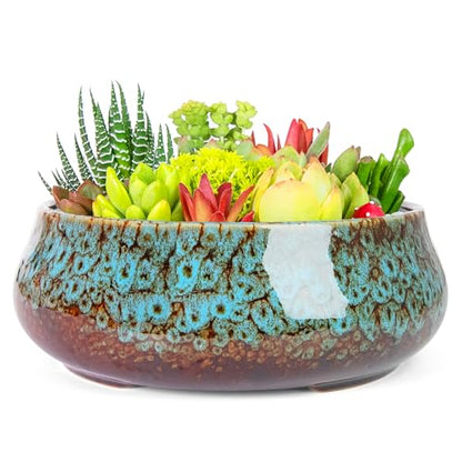ARTKETTY Succulent Pots, 8 Inch Plant Pots Large Bonsai Pots with Drainage - color: Blue