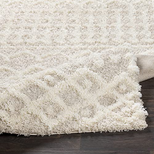 Livabliss Hapsburg Moroccan Shag Area Rug,10' x 14',Beige - color: Beige, size: 10' x 14' (Rectangular)