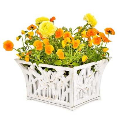 Sungmor Cast Iron Plant Basket with Non-Woven Growing Bag - Rust White - color: Antique White - Rectangle