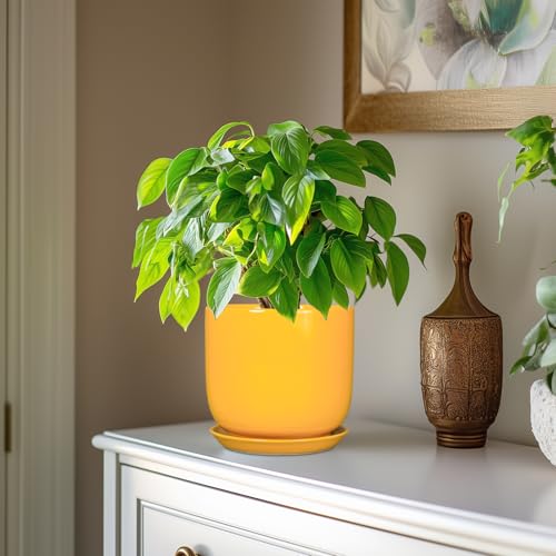 Indoor Plant Pot, 7 Inch Round Ceramic Planter, Yellow - color: Gloss Yellow, size: 7 Inch
