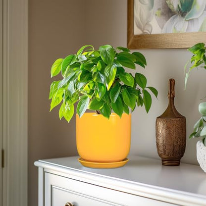 Indoor Plant Pot, 7 Inch Round Ceramic Planter, Yellow - color: Gloss Yellow, size: 7 Inch
