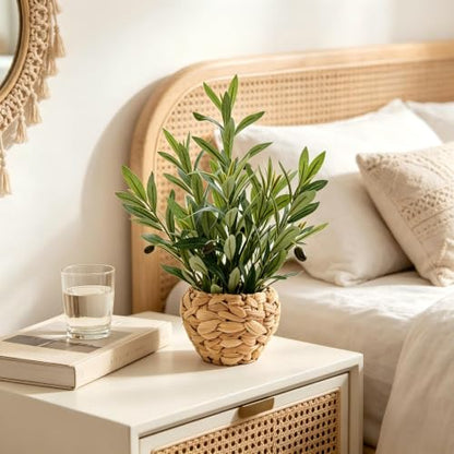 AlphaAcc Fake Potted Plant Small Olive Water Hyacinth Mediterranean Decor - color: Green Olive Plant 17.7" H