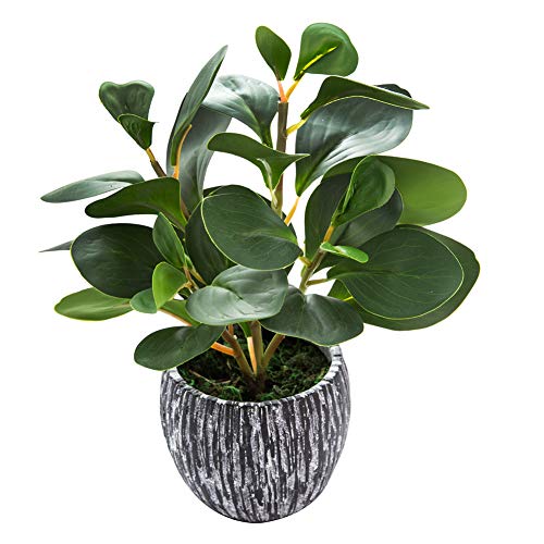 AlphaAcc Fake Faux Fiddle Leaf Fig Cement Planter Housewarming Desk Decor - color: Green Fiddle Leaf Fig Plant