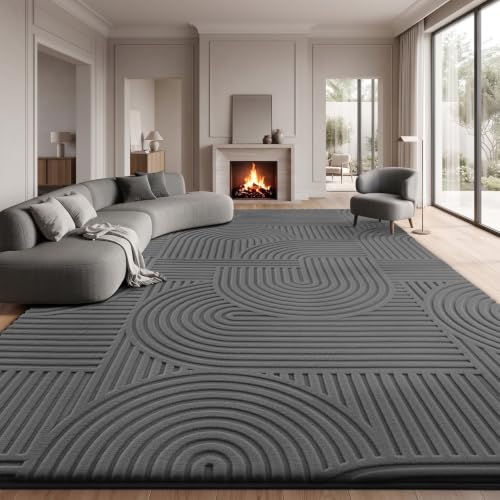 Sour Lemon 10x14 Area Rugs for Living Room Bedroom, Grey Rug Large Carpet - color: Dark Grey, size: 10' x 14' (Rectangular)