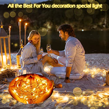 Hortsun 100 Pack Battery Operated Fairy Lights 7 ft 20 LED, Warm White - color: Warm White