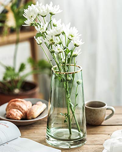 Green Glass Flower Vase with Gold Mouth for Centerpieces Home Wedding Decoration (1, Small) - size: Small