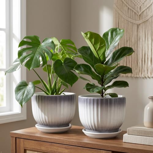 Ceramic Plant Pots, 6.7 Inch, Gray+White, Set of 2 - color: Gray + White, size: 6.7 Inch(2 PCS)