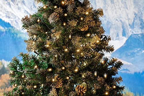 Novelty Lights 11.5 Feet 35 LED String Light, Warm White on Green Wire - color: Warm White (Connectable)