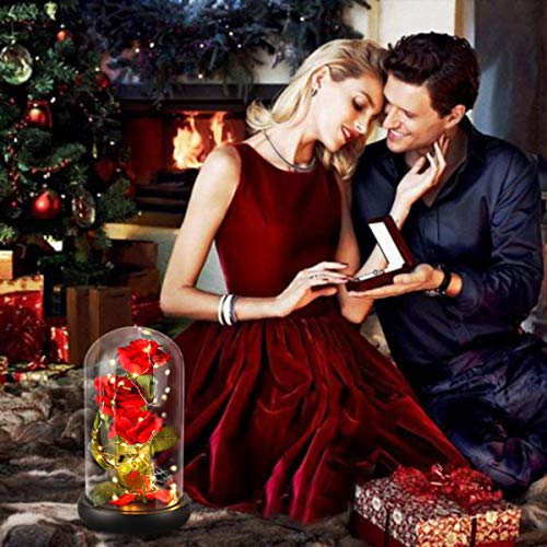 Beauty and The Beast Rose for Mom, Birthday Gifts for Women, Light Up Roses, Glass Dome Rose with LED Lights, Red Roses, Women's Gift for Mom Wife Grandmother - color: Red