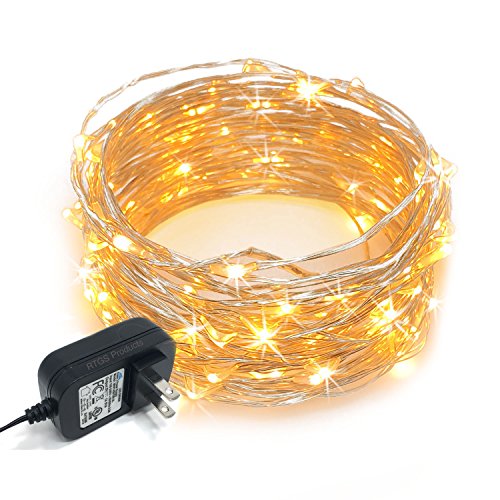 100 LED String Lights, 32 Feet, Silver Wire, Warm White, Plug-in, Indoor-Outdoor, 5V DC Transformer - color: Warm White