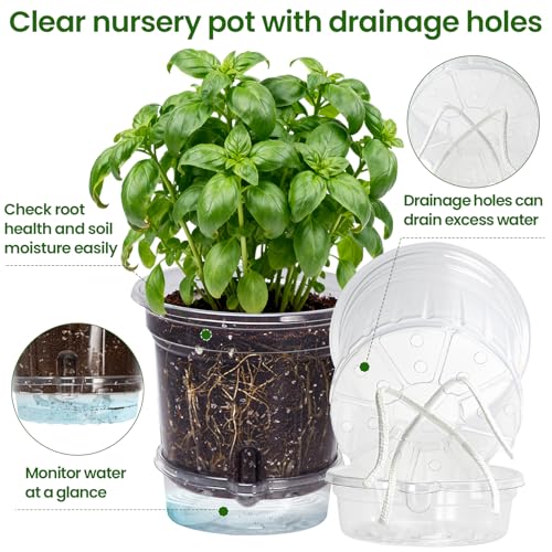 MIXC 12 Pack 6.5 Inch Self Watering Pots for Indoor Plants-Clear Plastic - size: 6.5 Inch (12 Pack)