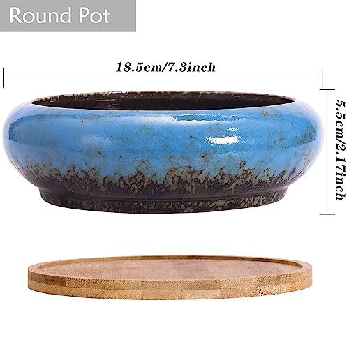 Succulent Pots, 1 Rectangle Planter + 1 Ceramic Bonsai Pots with Drain Tray - color: Blue