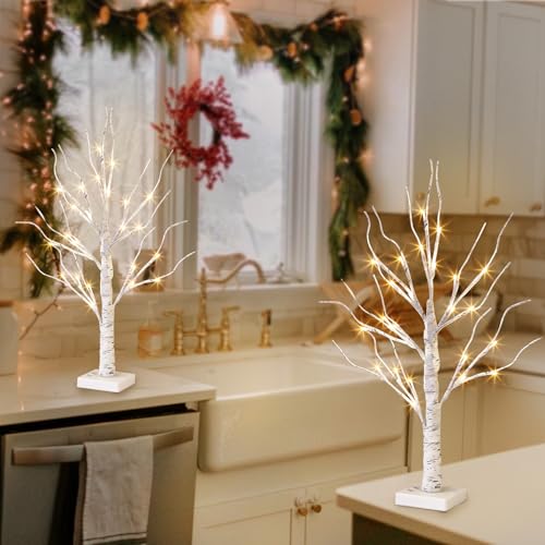 Vanthylit White Birch Tree with LED Lights - Set of 2, Tabletop Tree with Timer, Christmas Decorations Lighted Tree for Indoor Mantel Home Decor (2 FT, 24 LED) - size: 2pk Birch Tree