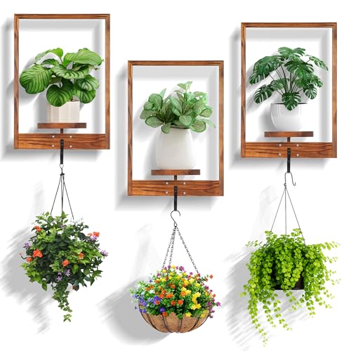 3 Pack Solid Wood Hanging Planters for Indoor Plants Wall Decor with Hooks