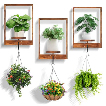 3 Pack Solid Wood Hanging Planters for Indoor Plants Wall Decor with Hooks