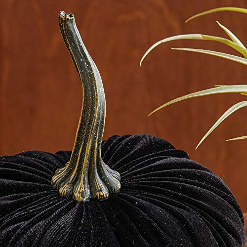 Your Heart's Content Black 6.25 inch Velvet Pumpkin (Black) - color: Black