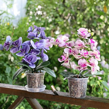 TRUEDAYS Orchid Pot with Saucers, 6 Pack 6 Inch Plant Pot with Drainage - size: 6Inch-6Pack with 6 Saucers