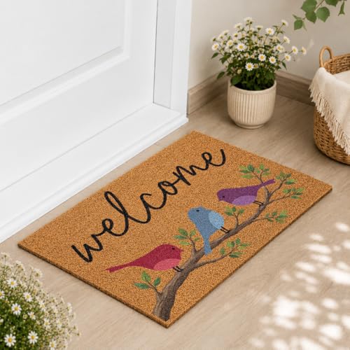 Welcome Coir Door Mat Outside and Indoor Entrance, Outdoor Mat for Front Door, Welcome Home Decorations, Colorful Outdoor Coir Doormat Porch Patio - Birds Design, Medium 18x30 Inch - color: Birds Design, size: 1'6" x 2'6" (Rectangular)
