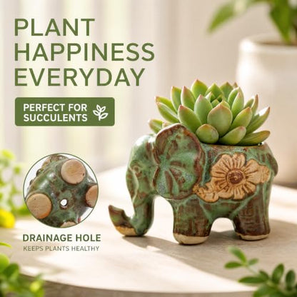 Okllen 6 Pack Mini Animal Ceramic Succulent Planter Set, Cute Elephant, Turtle, Owl, Snail, Succulent Pots with Drainage Hole, Ideal for Bonsai, Indoor, Outdoor
