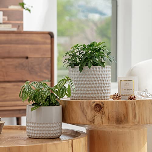 LA Jolie Muse Ceramic Plant Pots, Flower Pots for Indoor Plants, Set of 2 - color: Glacier Gray