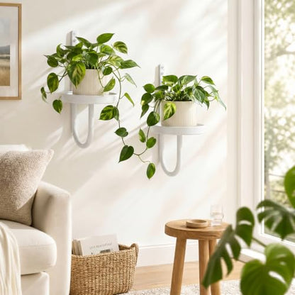 2 Pcs Wall Plant Holder Wall Mounted Hanging Planters for Indoor Plants Planters Shelf Metal Floating Stand for Living Room Bathroom Window(White)