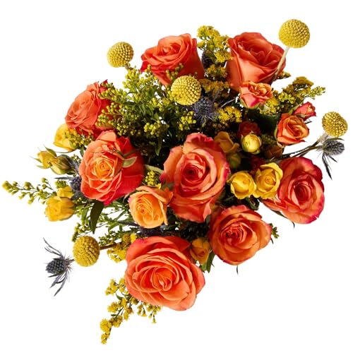 UrbanStems Firecracker Bouquet No Vase. Orange Fresh Flowers for Delivery