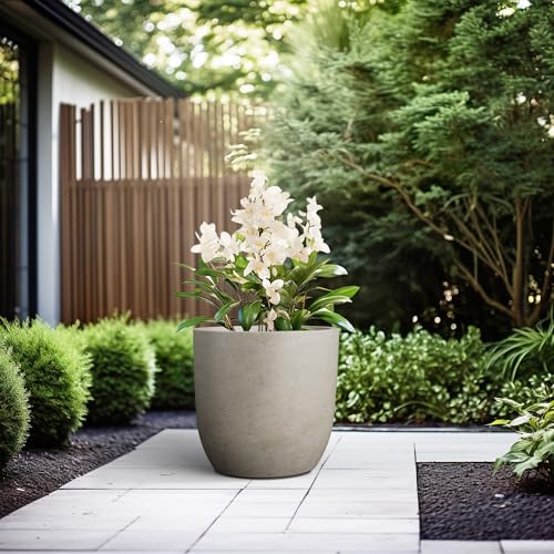 Kante Large Round Curved Weathered Concrete Planter 16.5" Dia, Outdoor - color: Weathered Concrete, size: 16.5"d