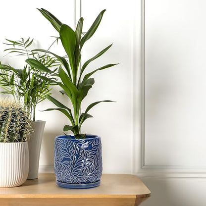 D'vine Dev Embossed Leaves Ceramic Planter, 5 in, Midnight Blue, 27-A-V-3 - color: Midnight Blue, size: 5 Inch