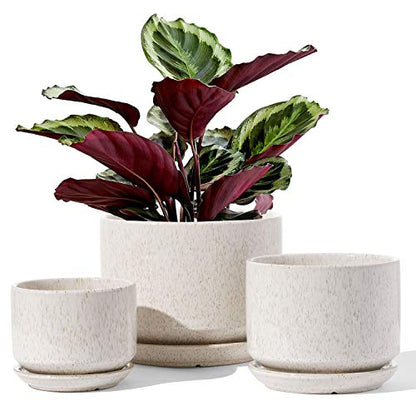 LE TAUCI Ceramic Pots for Plants, 4.3+5.3+6.8 Inch, Set of 3, Glazed Beige - color: Reactive Glaze Beige, size: 4.3"+5.3"+6.8"