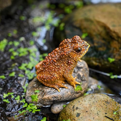 Lifelike Resin Toad Figurine - Hand-Sized 3.5"x2.2"x2.8" Frog Garden Decor, Weatherproof Outdoor Statue for Patio & Yard