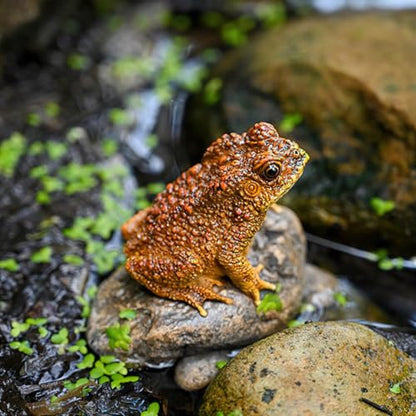 Lifelike Resin Toad Figurine - Hand-Sized 3.5"x2.2"x2.8" Frog Garden Decor, Weatherproof Outdoor Statue for Patio & Yard