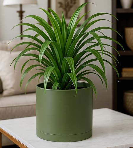 D'vine Dev Plastic Planter Pot with Saucer, 8 in, Olive, 74-X-I-1 - color: Olive, size: 8 Inch