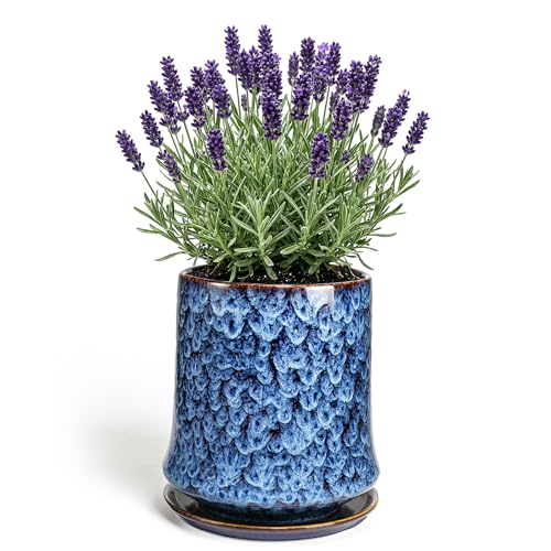 8 Inch Ceramic Planter Pot with Saucer Drainage Leak-Proof Mesh,Flower Pots for Lavender with Gardening Gloves,Ceramic Planter for Orchid(Peacock-Blue) - color: Peacock-blue, size: 8 Inch