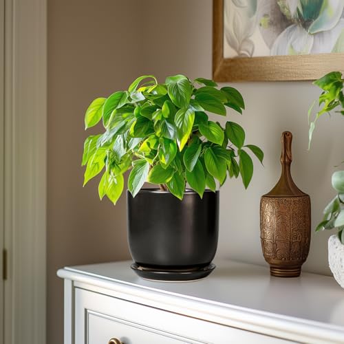 Ceramic Planter 7 Inch Plant Pot with Drainage, Black - color: Matte Black, size: 7 Inch
