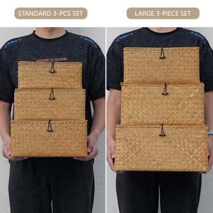 Nonam Wicker Storage Basket with Lid,Seagrass Shelf Basket Set of 3,Nautral - color: Standard Natural* Set of 3