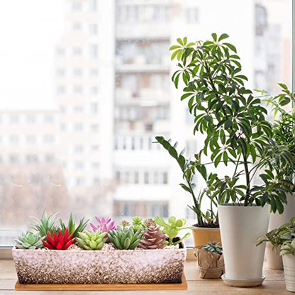 Succulent Pots - 12.1 Inch Large Succulent Planters Pots with Drainage Tray - color: White