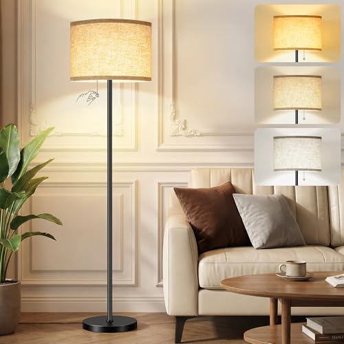 Floor Lamp, Floor Lamps for Living Room 3 Color Temperature Standing Lamp with Pull Chain Switch, Black Floor Lamp with Lampshade, Modern Tall Light for Bedroom Office(9W Bulb Included) - color: Black-LED Bulb